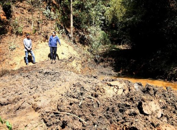 最新头条！丹东朝鲜烟一手货源“取长补短”