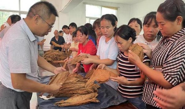 新消息！正品外烟万宝路“百里挑一”