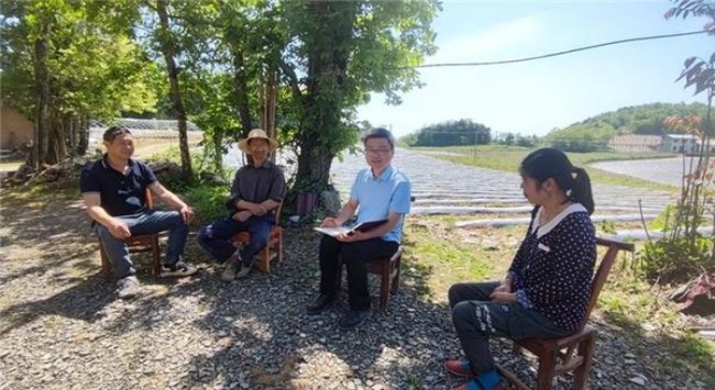 梅花王硬红多少钱一盒？梅花王硬红多少钱一包？