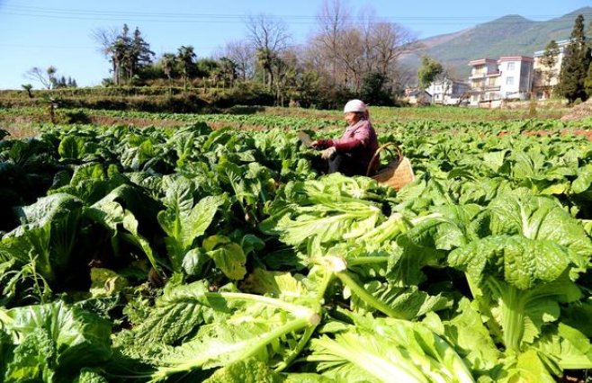 重大来袭！卖烟的微商微信号“东躲西藏”