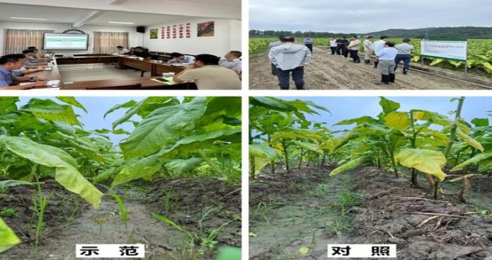 万宝路薄荷硬8mg日版香烟价格表2024 万宝路薄荷硬8mg日版多少钱一包2024？