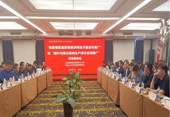 真龙龙天下价格表和图片真龙龙天下批发价格是多少？