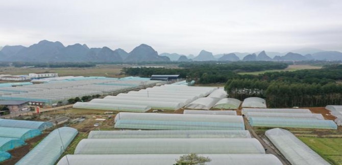 七星风蓝侧推韩版多少钱一包？七星风蓝侧推韩版多少钱一包2024？