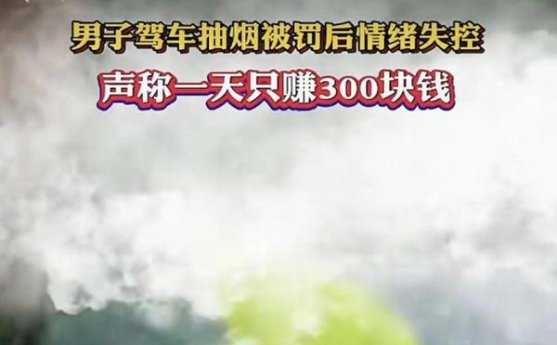 真龙前程似锦.新版什么价格？真龙前程似锦.新版价格表图一览表 