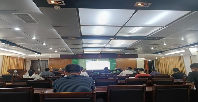 真龙晶钻刘三姐价钱批发 真龙晶钻刘三姐多少钱一包2024？