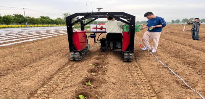 骆驼(原味卢森堡版)批发多少钱？骆驼(原味卢森堡版)香烟价格表2024