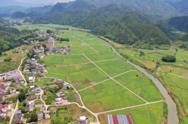 王冠小国粹价格查询 王冠小国粹多少钱一包2024？