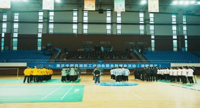 中南海典8价钱批发 中南海典8什么价格？