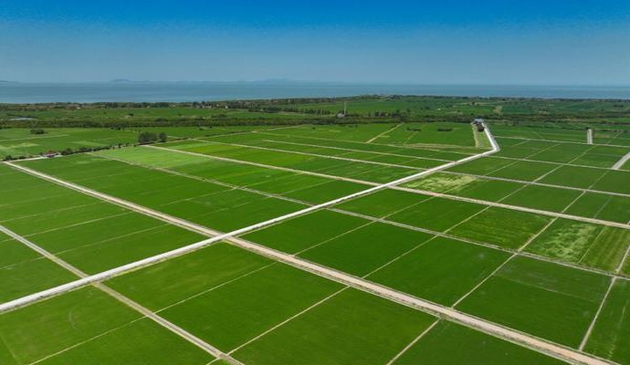 万宝路(三爆珠欧盟版)渠道批发，万宝路(三爆珠欧盟版)什么价格？