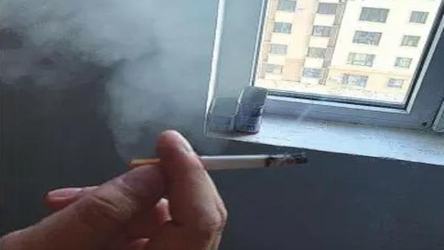 双喜好日子城市之光多少钱一盒？双喜好日子城市之光价格查询 