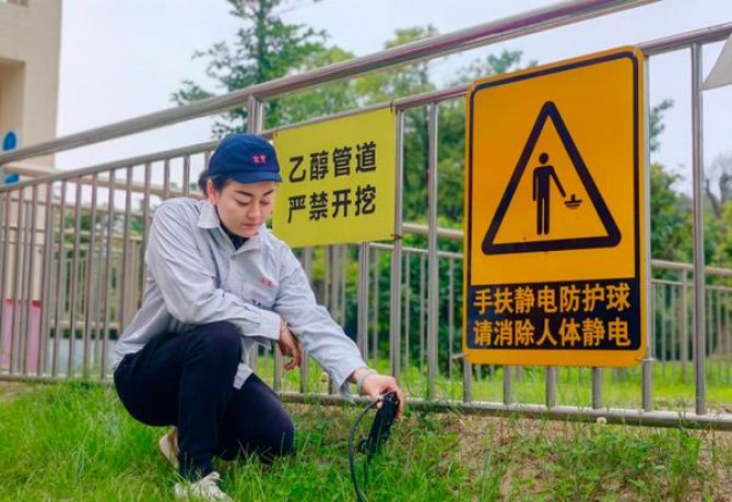 长白山硬桂花价格查询 长白山硬桂花多少钱一盒？