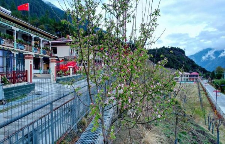 万宝路(蓝Touch俄罗斯版)渠道批发，万宝路(蓝Touch俄罗斯版)价钱批发