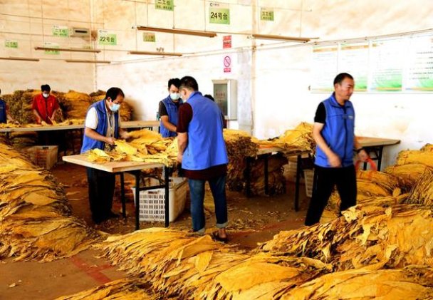 阿里山一带一路什么价格？阿里山一带一路价格表一览 