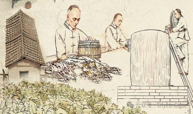 长白山(硬桂花)批发价格是多少？长白山(硬桂花)批发价格是多少？