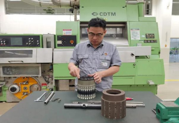 钻石软荷花多少钱一包2024？钻石软荷花价钱批发 