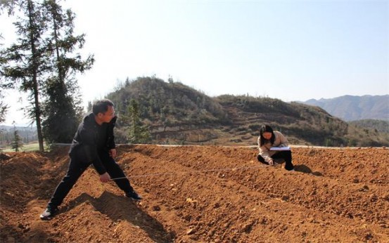 大青山(青城)多少钱一包2025？大青山(青城)价格表和图片 