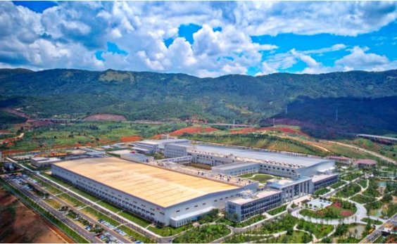 骆驼硬绿肥仔美税版价格表一览 骆驼硬绿肥仔美税版价格表图一览表 