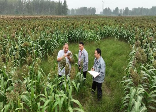 万宝路硬冰爵价格表图一览表 万宝路硬冰爵价格查询 