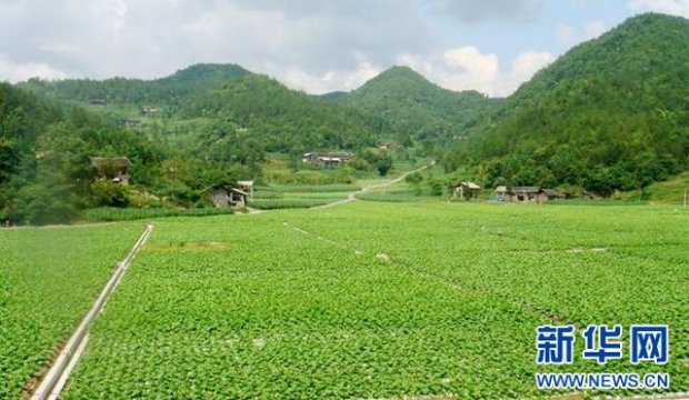 好彩冰莓爆珠北海道澳门版价格表和图片好彩冰莓爆珠北海道澳门版多少钱一包？