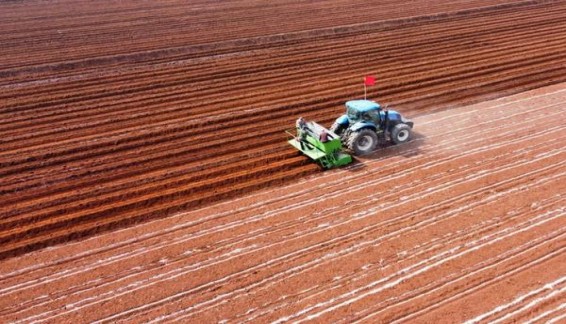 LM硬红墨西哥加税版多少钱一包？LM硬红墨西哥加税版价格表一览 