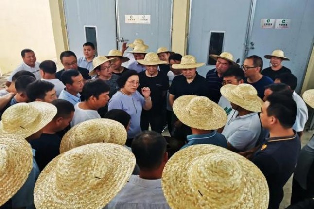 破天荒！2023免税香烟批发厂家直销代理“鸟枪换炮”