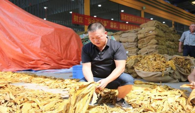 金色海滩(软超淡)厂家价格，金色海滩(软超淡)多少钱一盒？