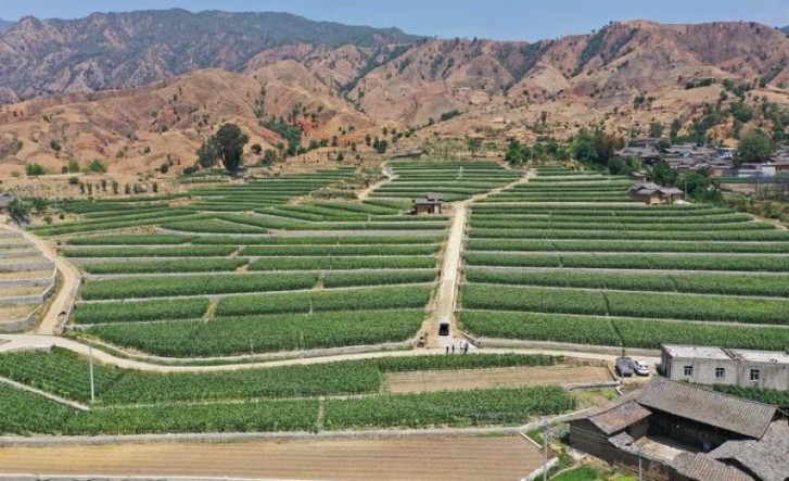 沙河(精制)价格表一览 沙河(精制)价格表图一览表 