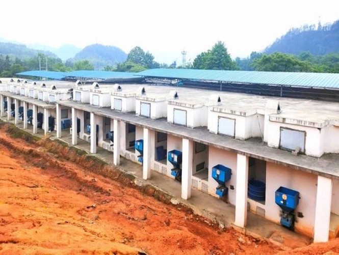 骆驼(硬红美税)多少钱一盒？骆驼(硬红美税)价格表图一览表 