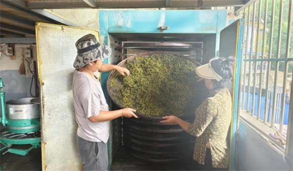 利群(软长嘴5mg)香烟正品价格表 利群(软长嘴5mg)香烟价格表2025 