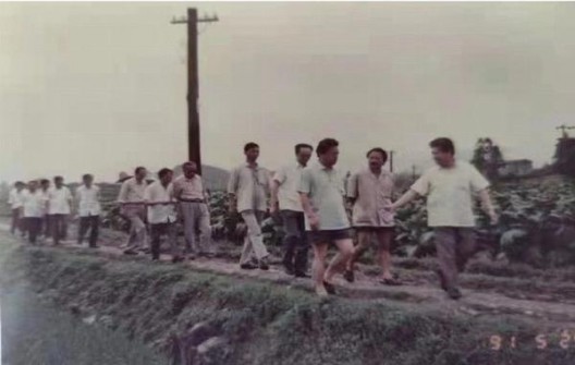 黄山(徽商新视界)什么价格？黄山(徽商新视界)香烟正品价格表 