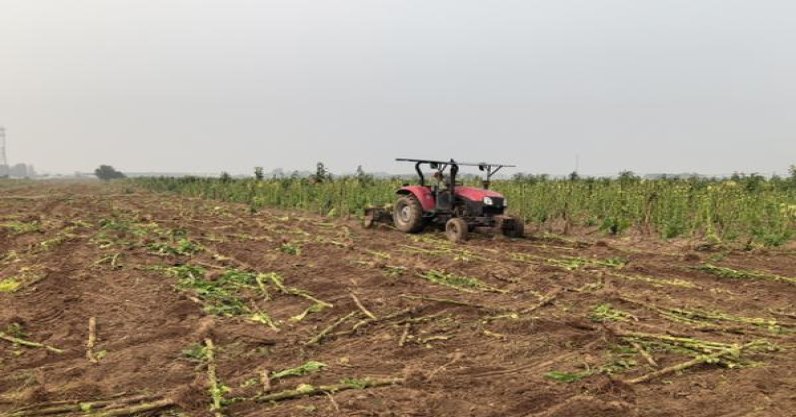 罗密欧宽丘吉尔多少钱一包2024？罗密欧宽丘吉尔香烟价格表2024 