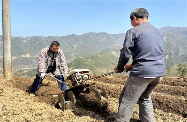 红塔山(国际100出口版)价格表一览 红塔山(国际100出口版)参数详解 