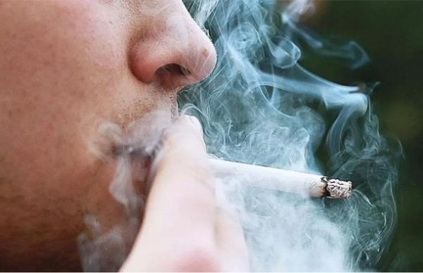 泰山天元批发价格是多少？泰山天元价格查询 