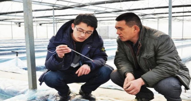 大华(红开元)厂家直销，大华(红开元)价格表和图片