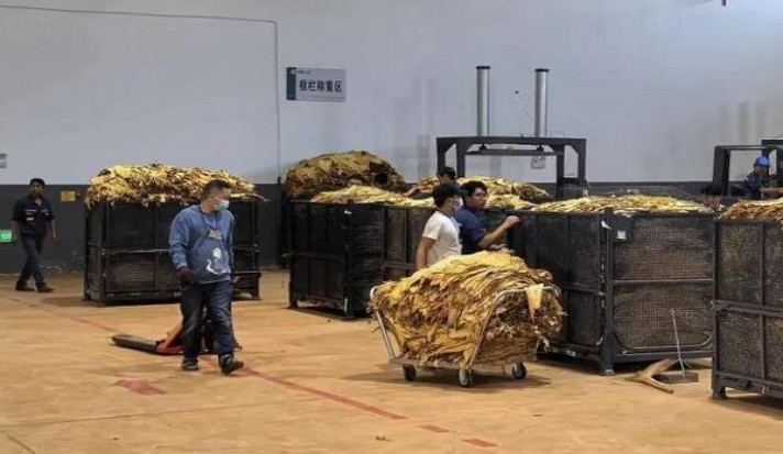 好彩吉祥 美式 红价格表图一览表 好彩吉祥 美式 红价格查询 