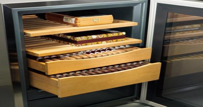 真龙致青春价格查询 真龙致青春价格表和图片