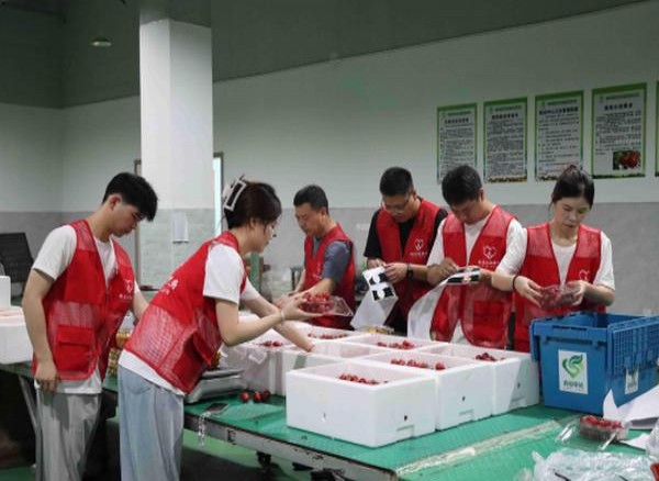 重点通报！精仿香烟批发供应商“应有尽有”