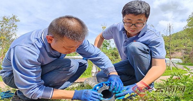 贵烟(萃.陈皮爆珠)多少钱一包2025？贵烟(萃.陈皮爆珠)图片及价格 