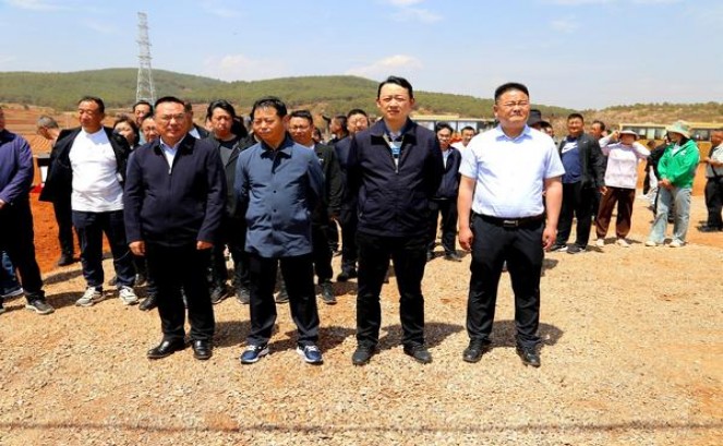 黑猫(薄荷 出口荷兰)参数详解 黑猫(薄荷 出口荷兰)图片及价格查询