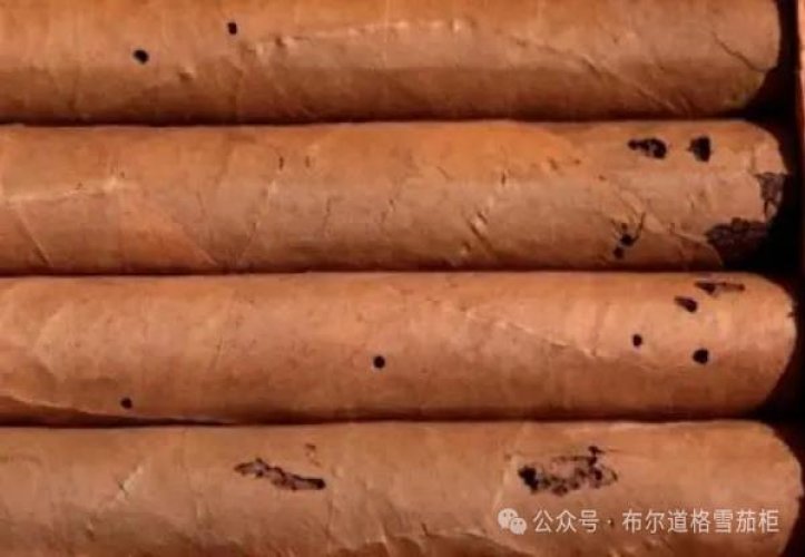 呼伦贝尔(软红)一手批发，呼伦贝尔(软红)多少钱一盒2024？