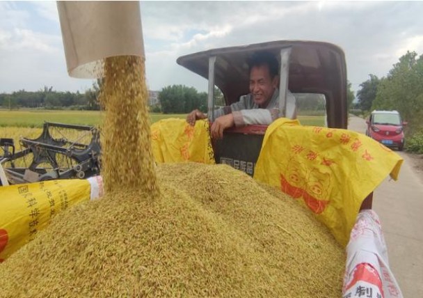 万宝路(25支装德国含税越野限定版)多少钱一盒？万宝路(25支装德国含税越野限定版)香烟价格表2025 