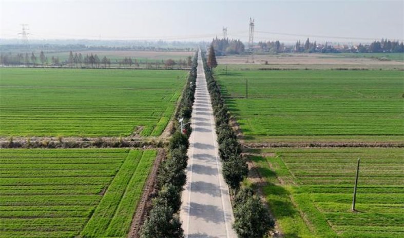 将军蓝天下第一泉多少钱一盒？将军蓝天下第一泉多少钱一包2024？