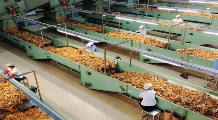 百乐门(LIGHTS日版)多少钱一盒2025？百乐门(LIGHTS日版)多少钱一包2025？