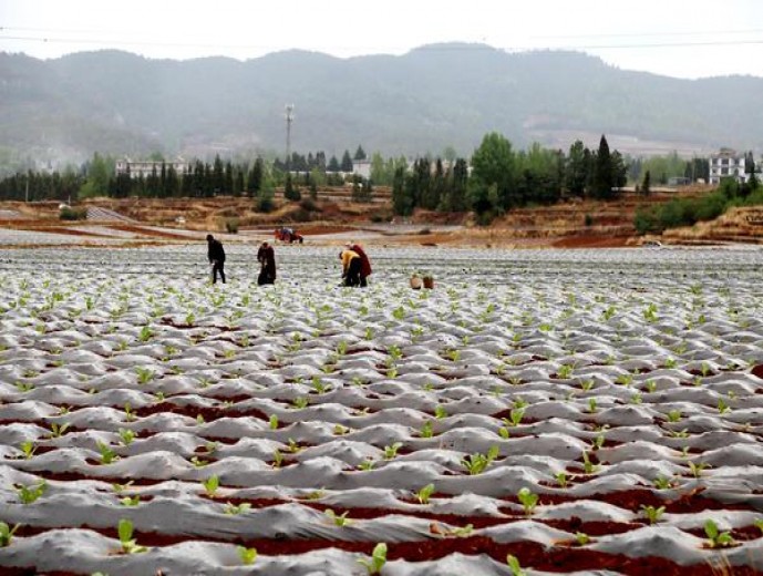 三峡(NO.4)图片及价格 三峡(NO.4)香烟价格表2025 