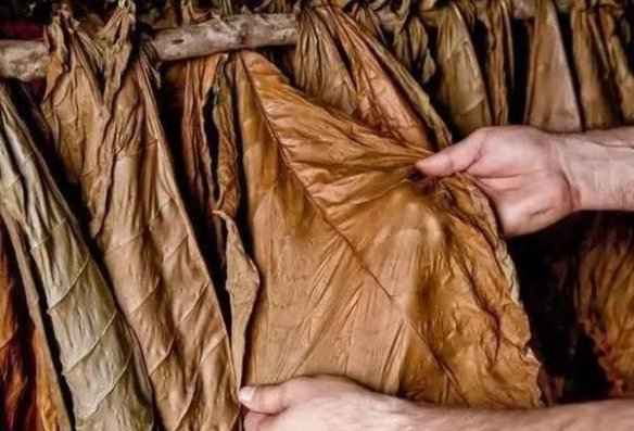 高希霸(世纪六)总仓批发，高希霸(世纪六)多少钱一盒？