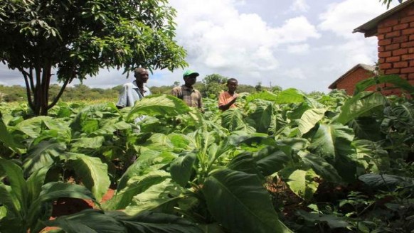 新消息！厂家直销一手香烟“水滴石穿”