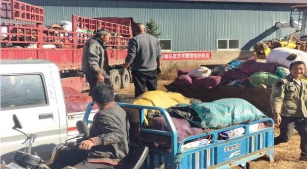 重大新闻！正品烟草批发货到付款官网【一手货源】“浪子回头”