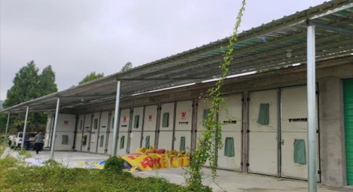 重大来袭！香烟代理批发一手货源一条起发厂家直销“高情远致”