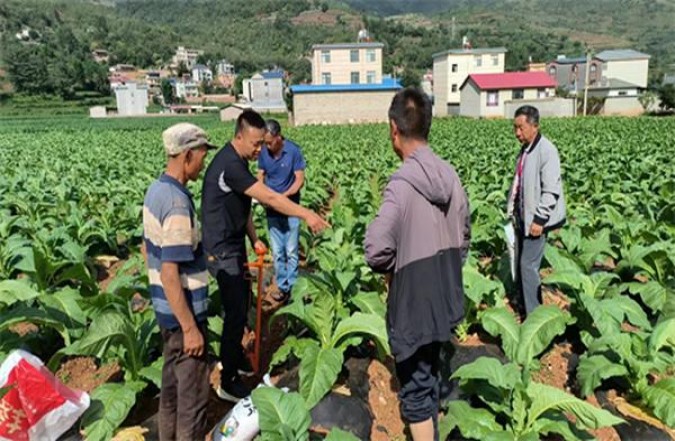 万宝路(硬红拉脱维亚完税版)价格表一览 万宝路(硬红拉脱维亚完税版)多少钱一盒2025？
