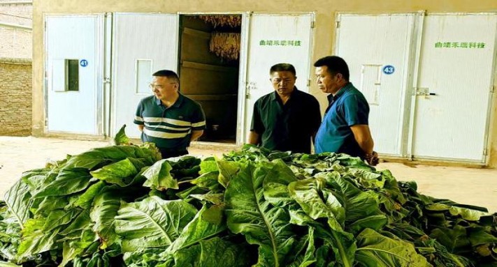 健牌(微粒体滤嘴比利时版)多少钱一盒2025？健牌(微粒体滤嘴比利时版)价格表一览 